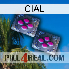 Cial 01